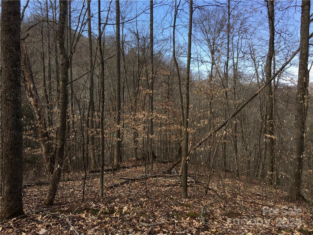 Tbd Fern Hill Drive Mars Hill NC 28754