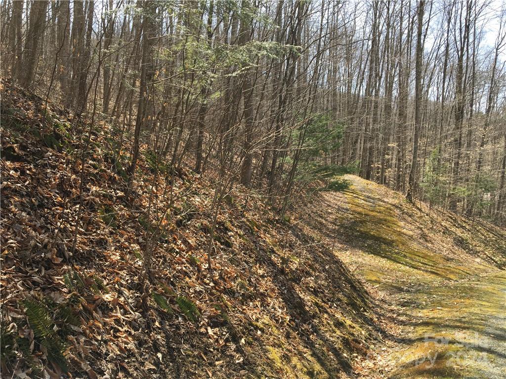 Tbd Fern Hill Drive Mars Hill NC 28754