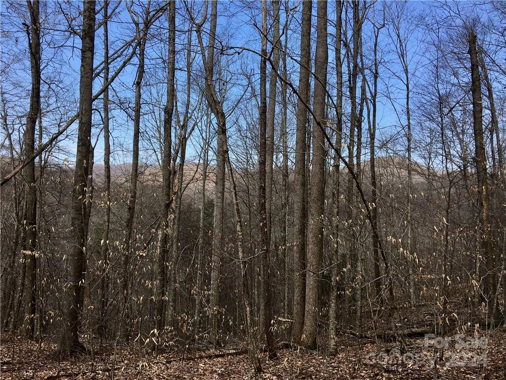 Tbd Fern Hill Drive Mars Hill NC 28754