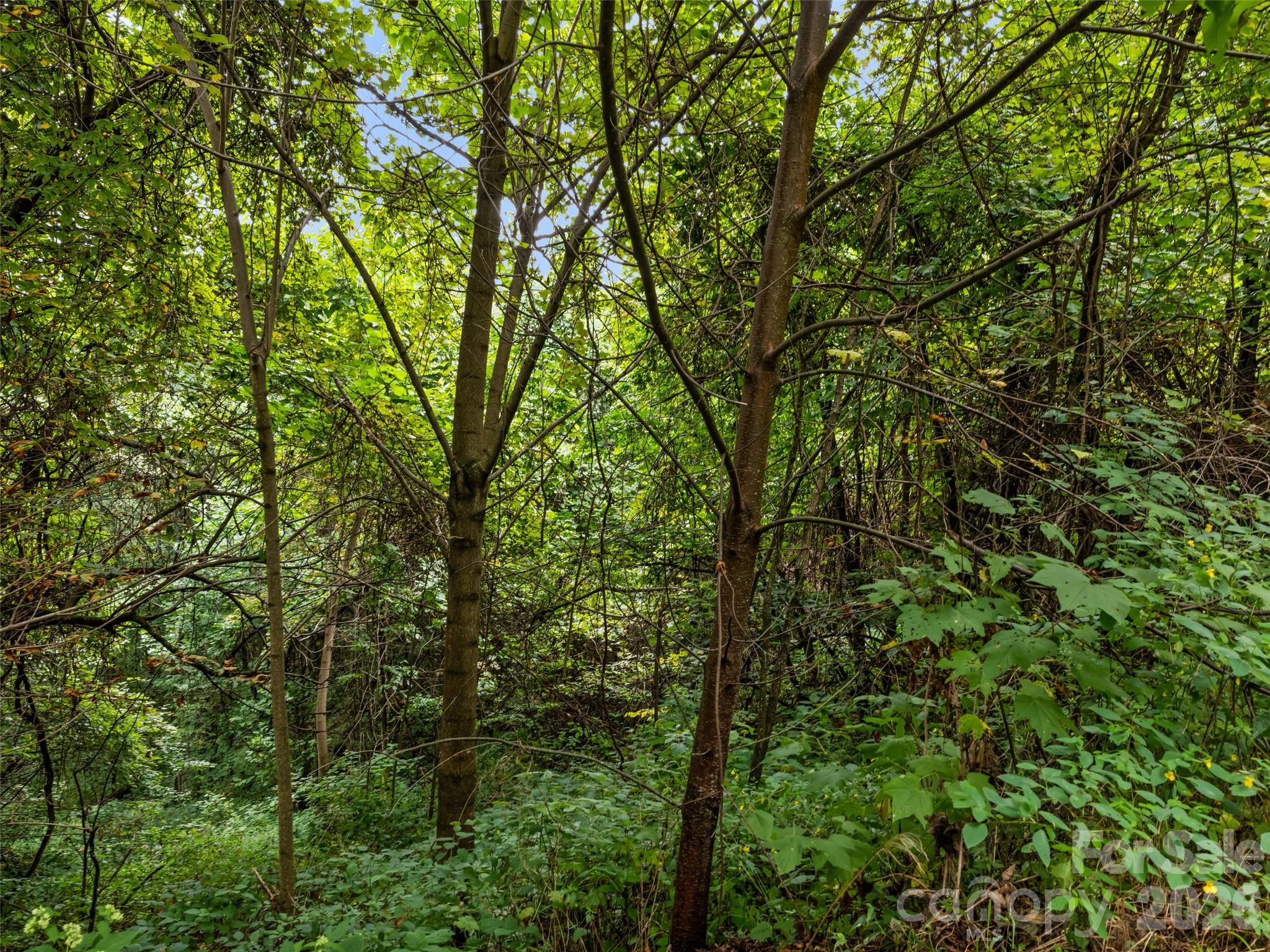 403 Malin Trail Waynesville NC 28786