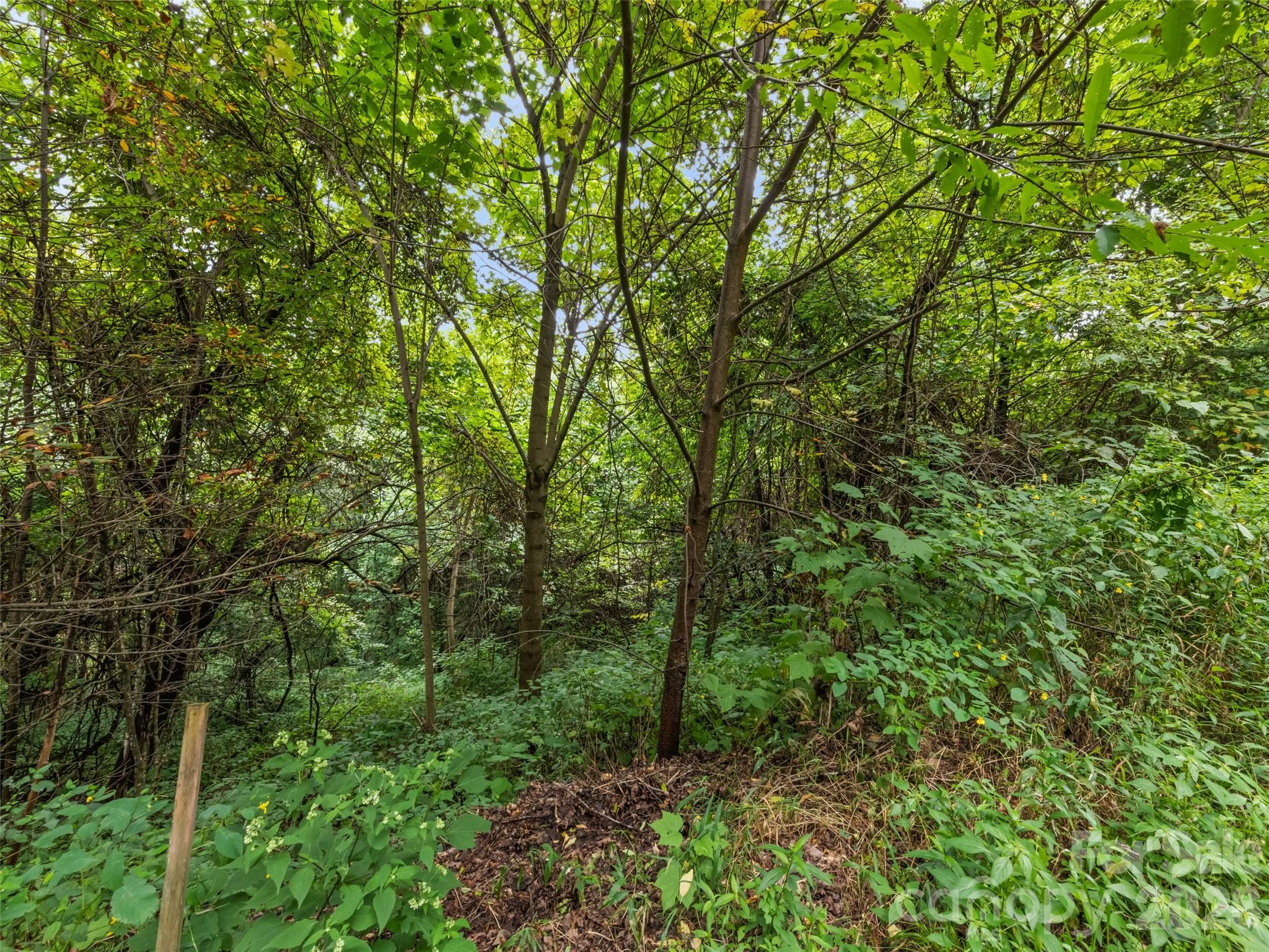 403 Malin Trail Waynesville NC 28786