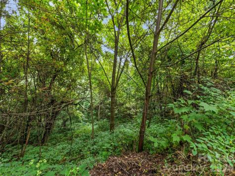 403 Malin Trail Waynesville NC 28786