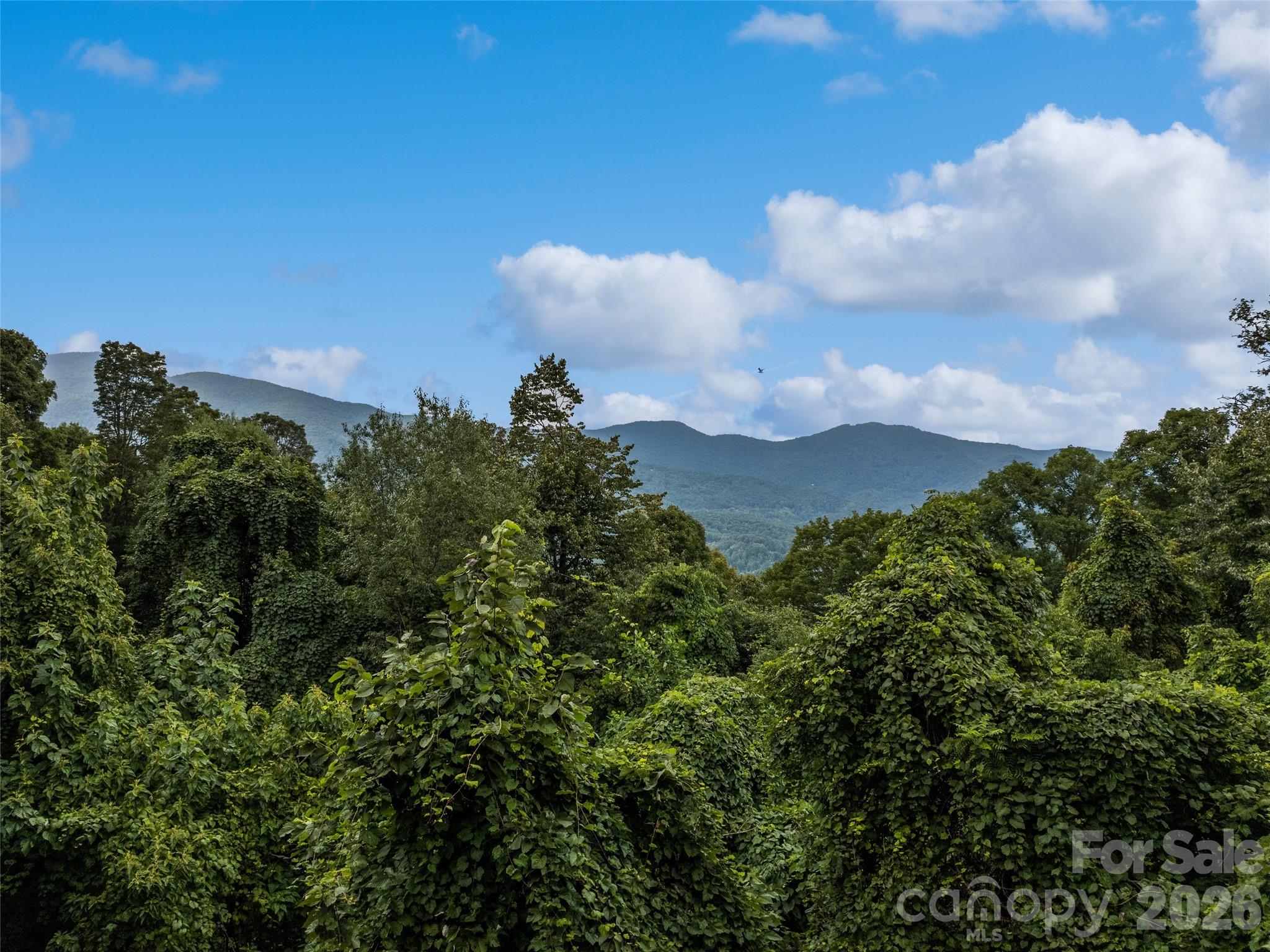 403 Malin Trail Waynesville NC 28786