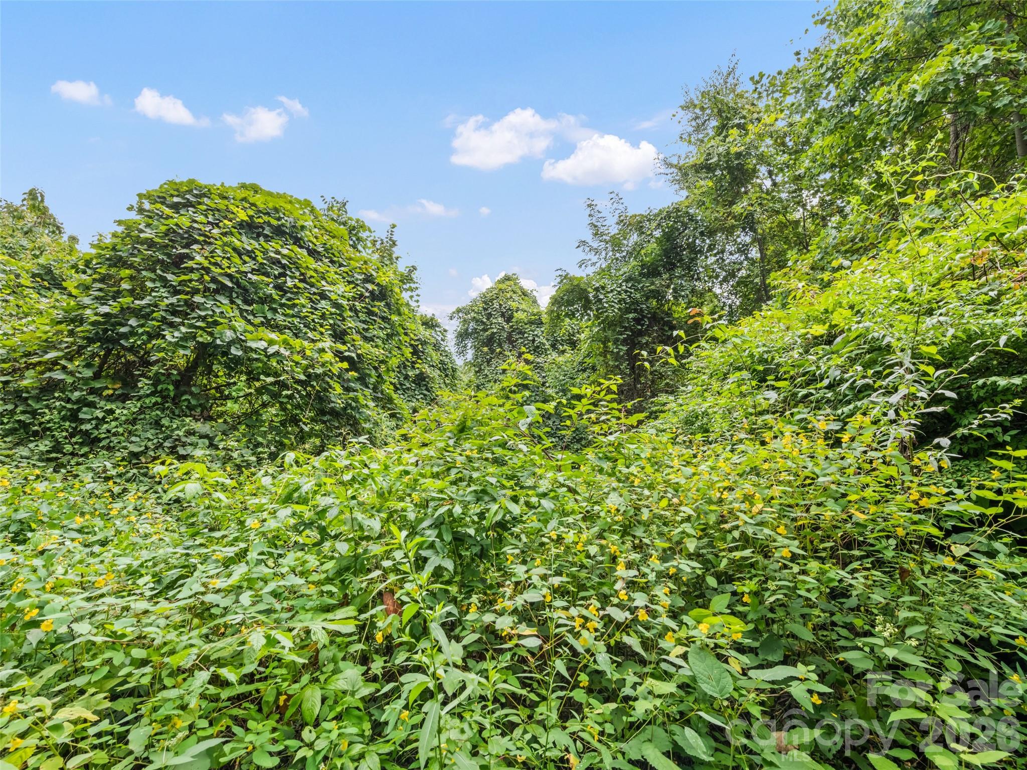 403 Malin Trail Waynesville NC 28786