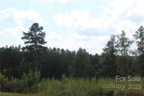 2048 Inlet Shore Road NE Connelly Springs NC 28612