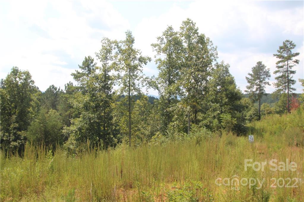 2048 Inlet Shore Road NE Connelly Springs NC 28612