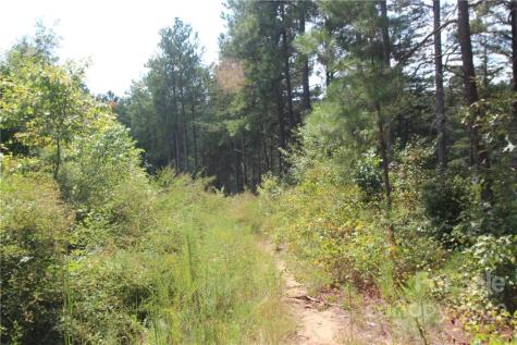 2048 Inlet Shore Road NE Connelly Springs NC 28612