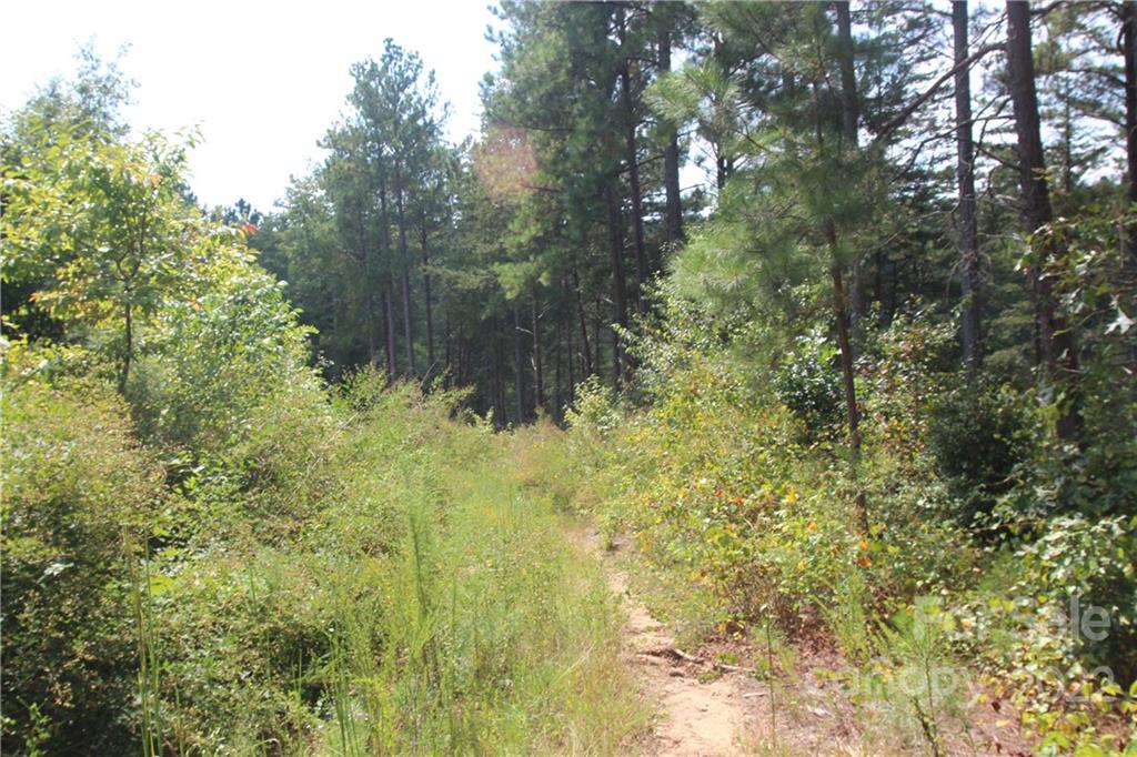 2048 Inlet Shore Road NE Connelly Springs NC 28612