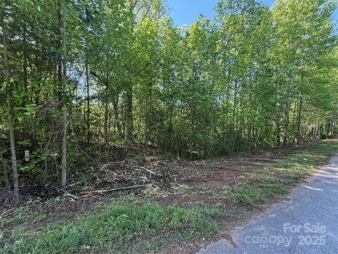 Lot 248 Riley Drive Taylorsville NC 28681