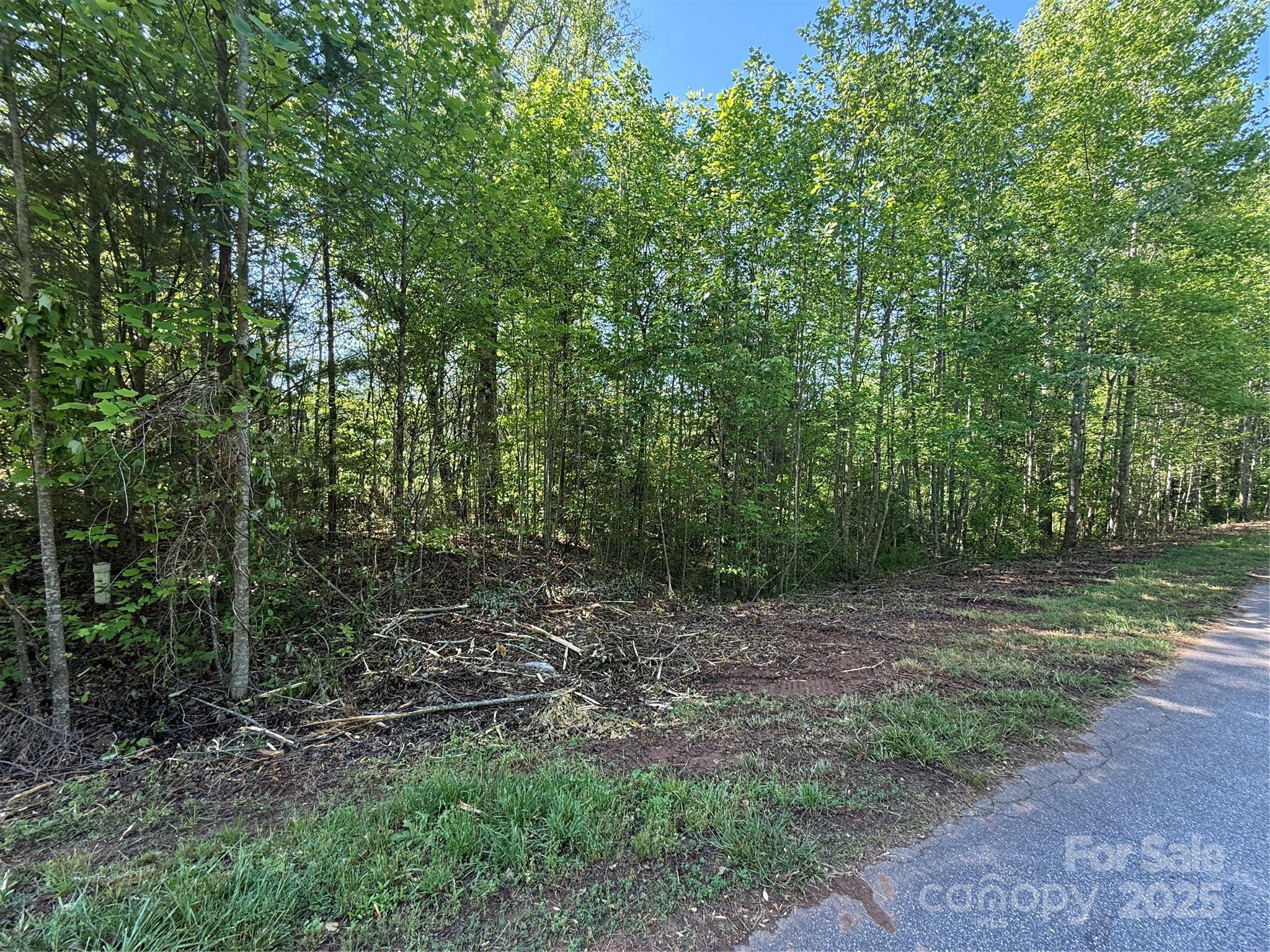 Lot 248 Riley Drive Taylorsville NC 28681