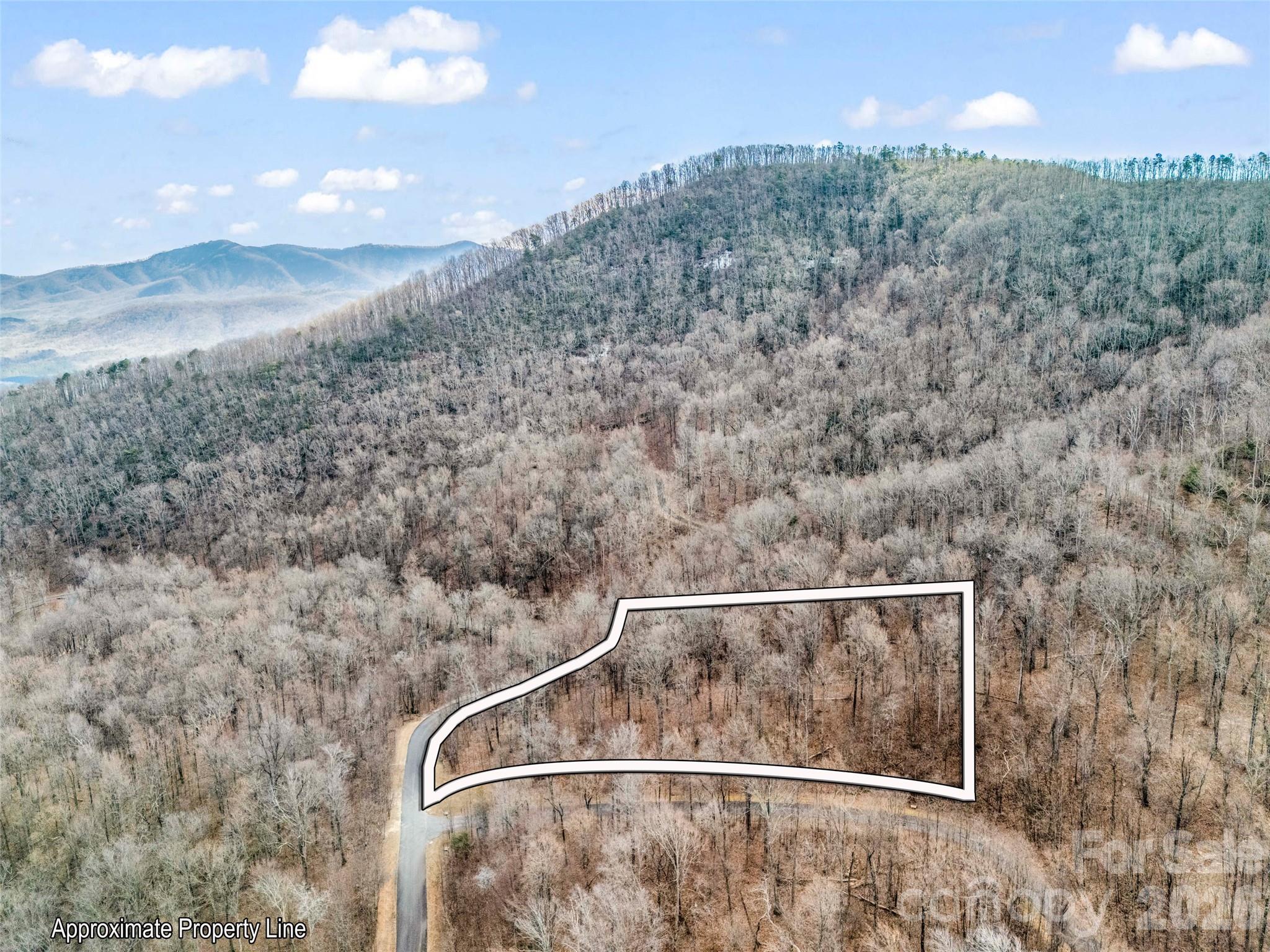 2128 Harm Creek Loop Mill Spring NC 28756