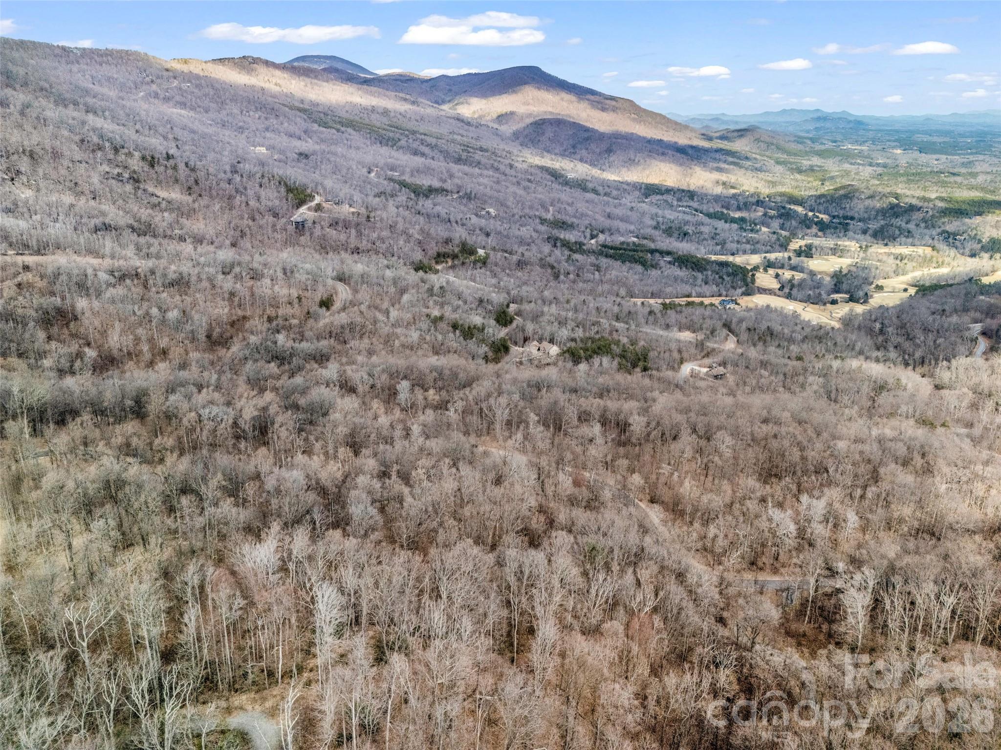 2128 Harm Creek Loop Mill Spring NC 28756