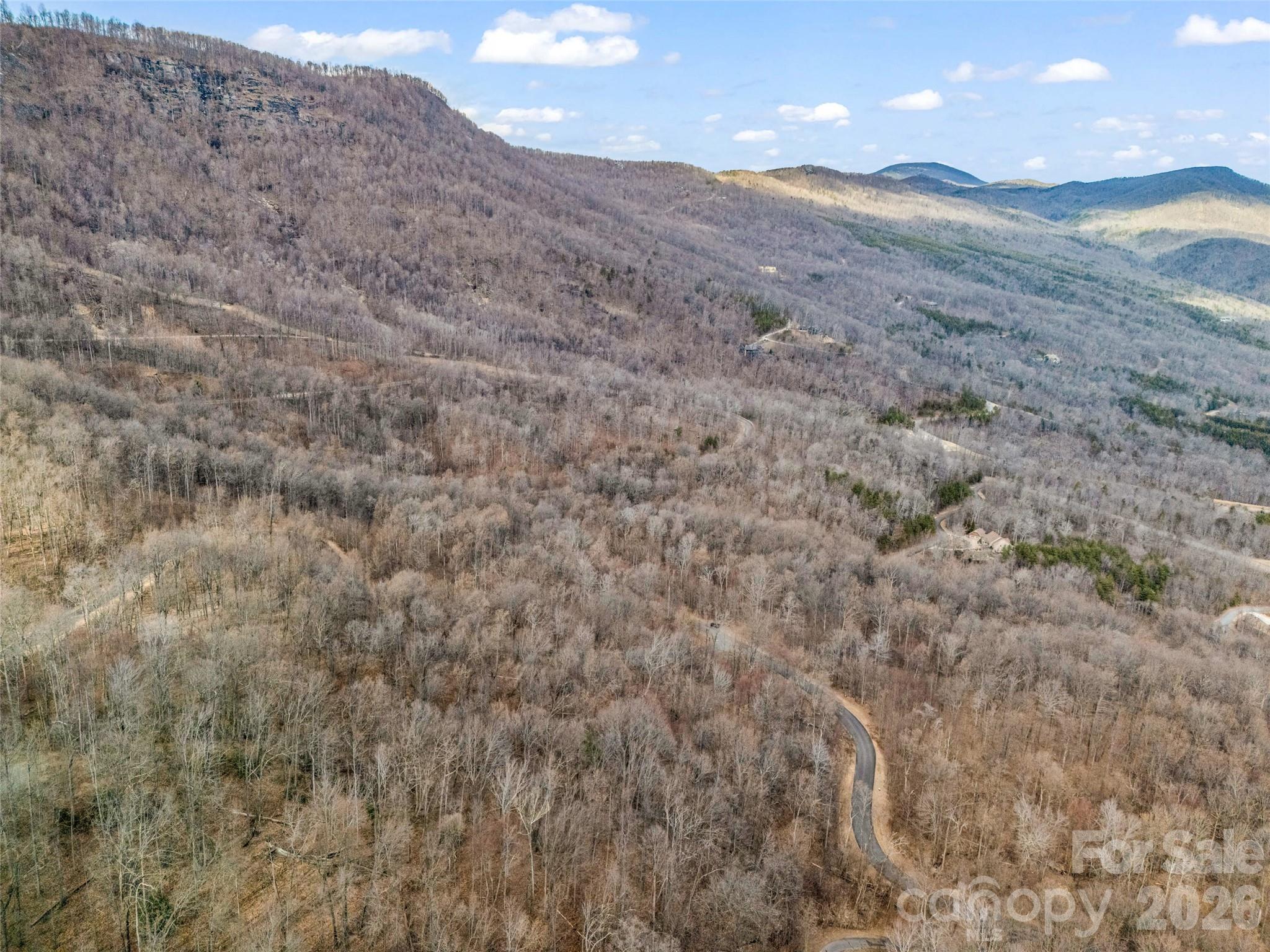 2128 Harm Creek Loop Mill Spring NC 28756