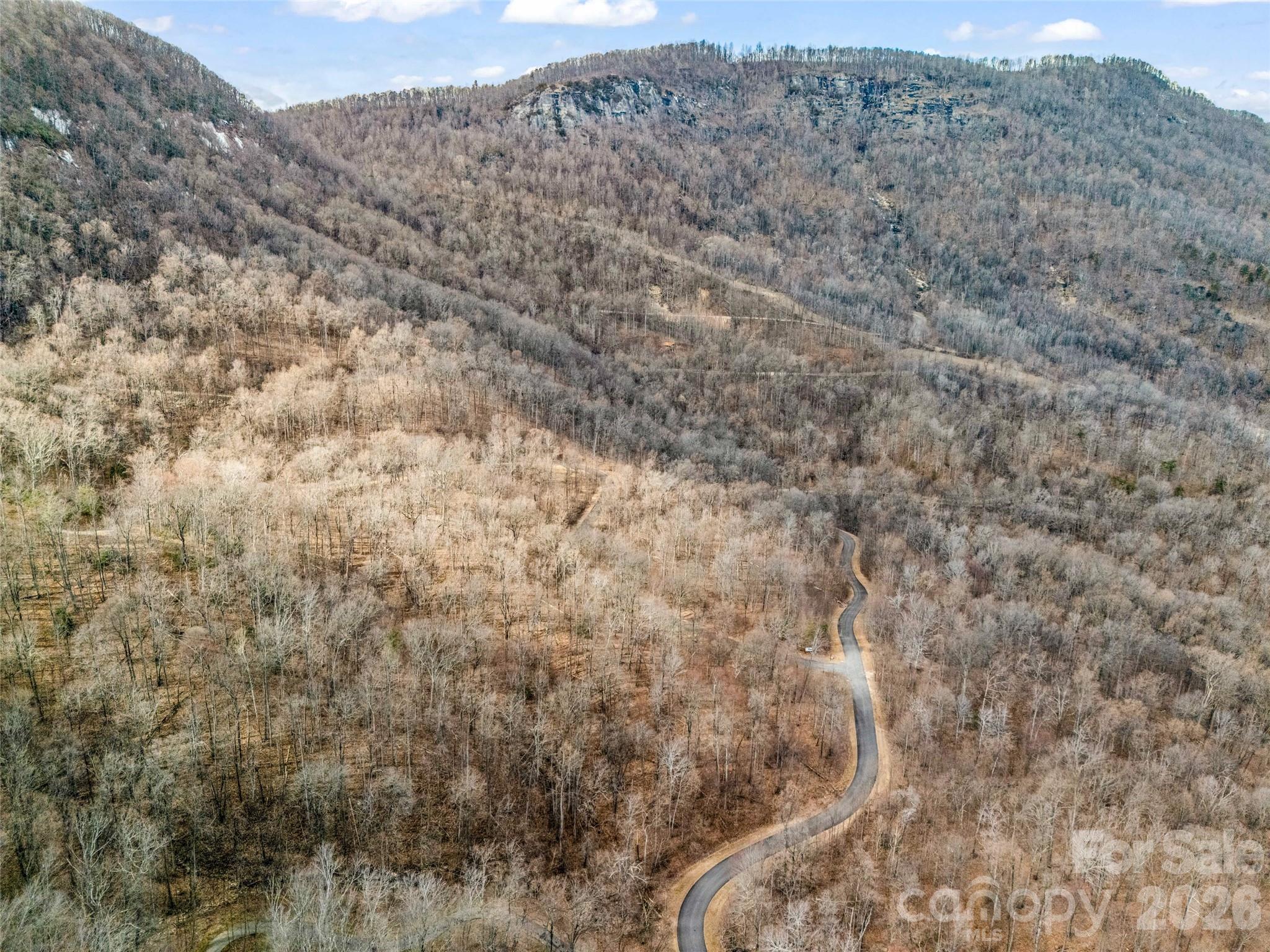 2128 Harm Creek Loop Mill Spring NC 28756