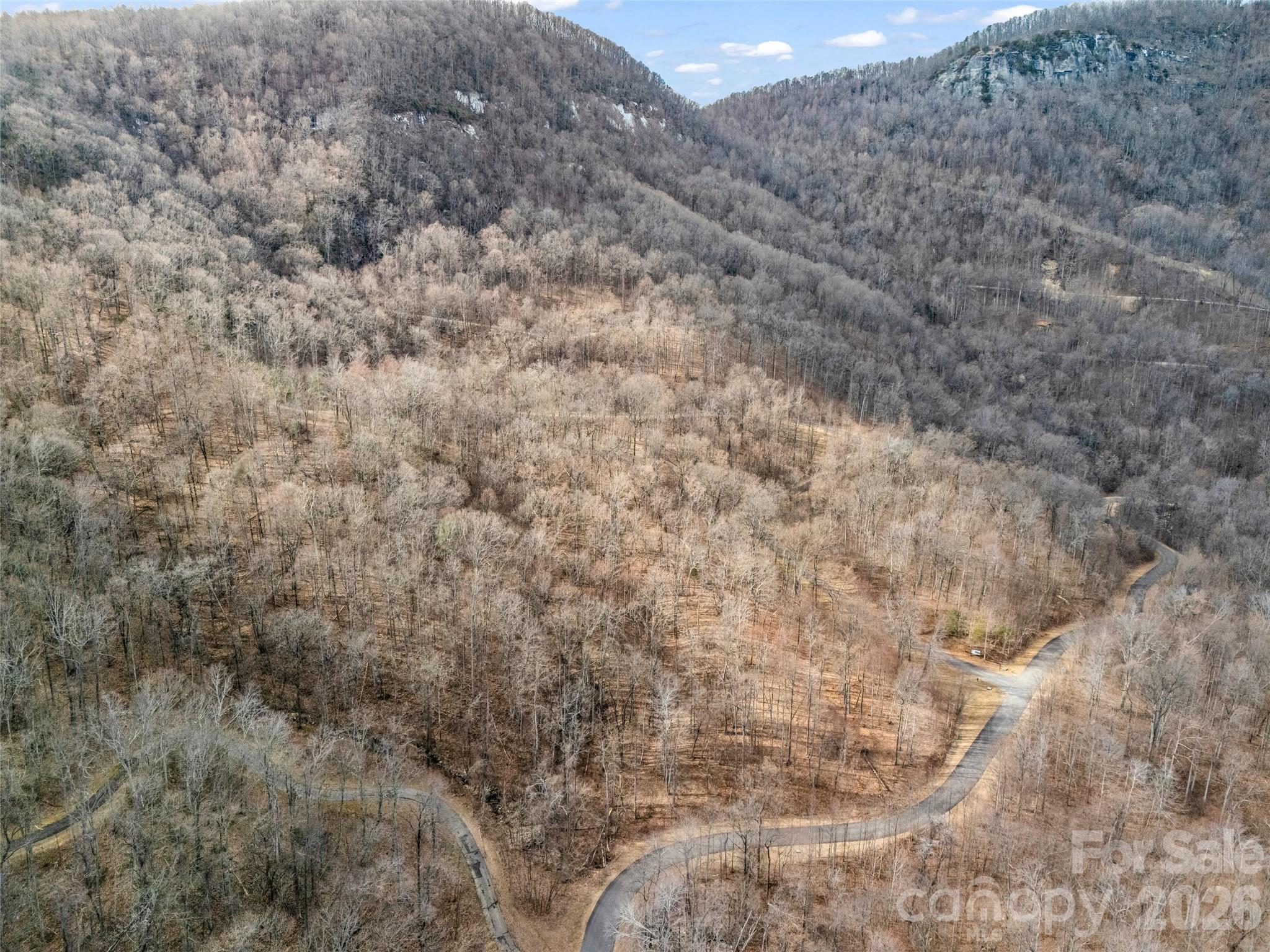 2128 Harm Creek Loop Mill Spring NC 28756