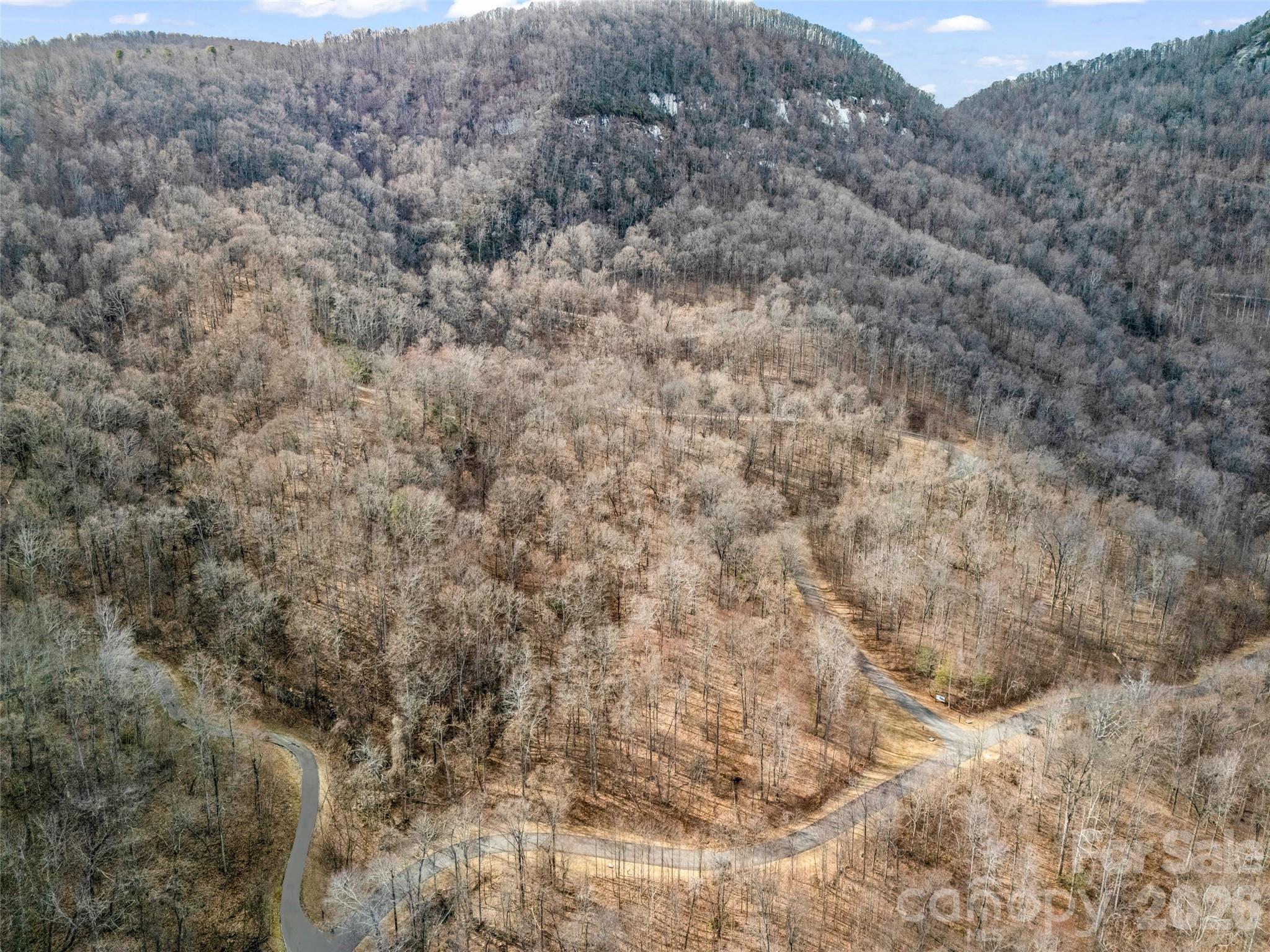 2128 Harm Creek Loop Mill Spring NC 28756