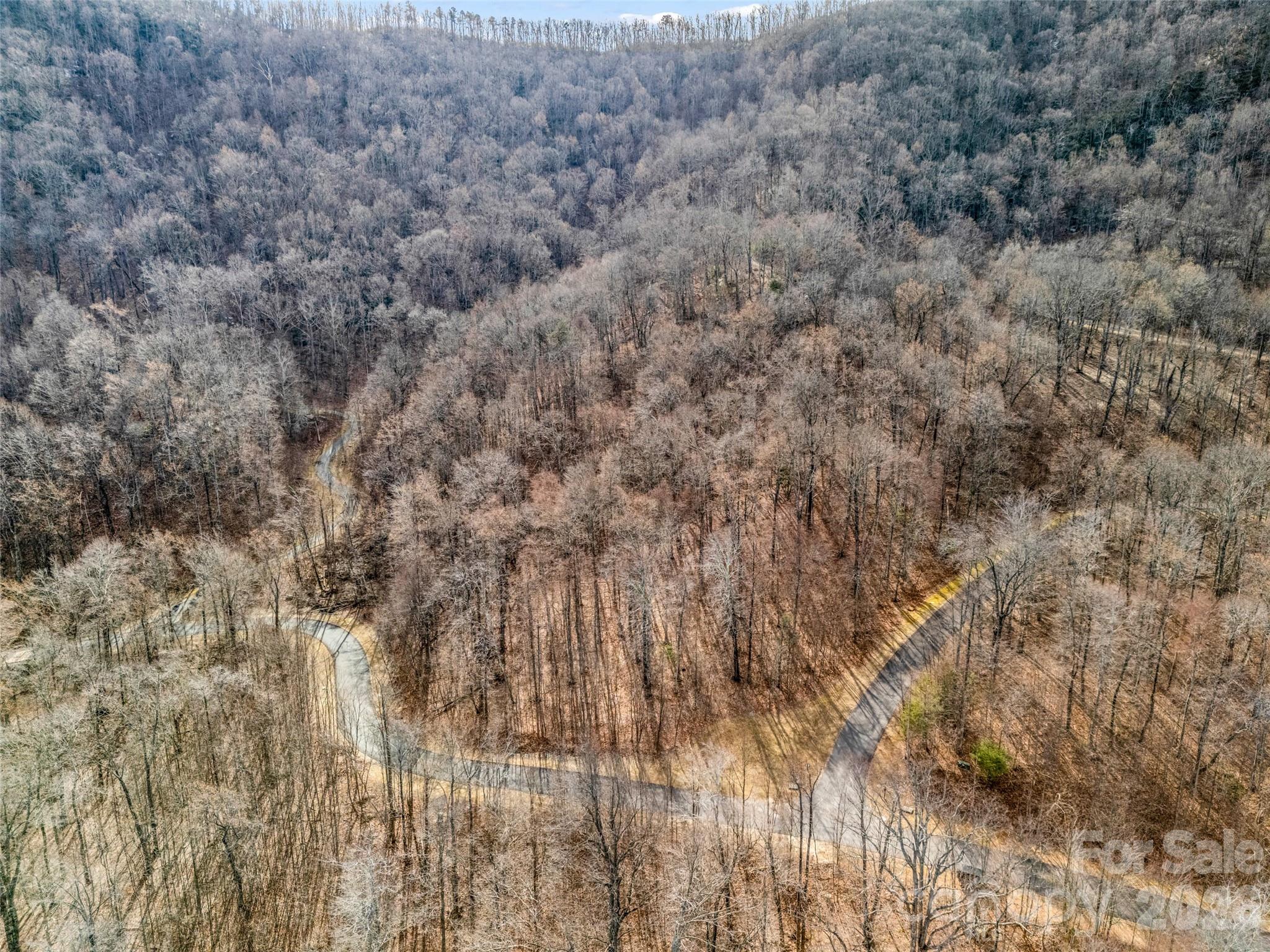 2128 Harm Creek Loop Mill Spring NC 28756