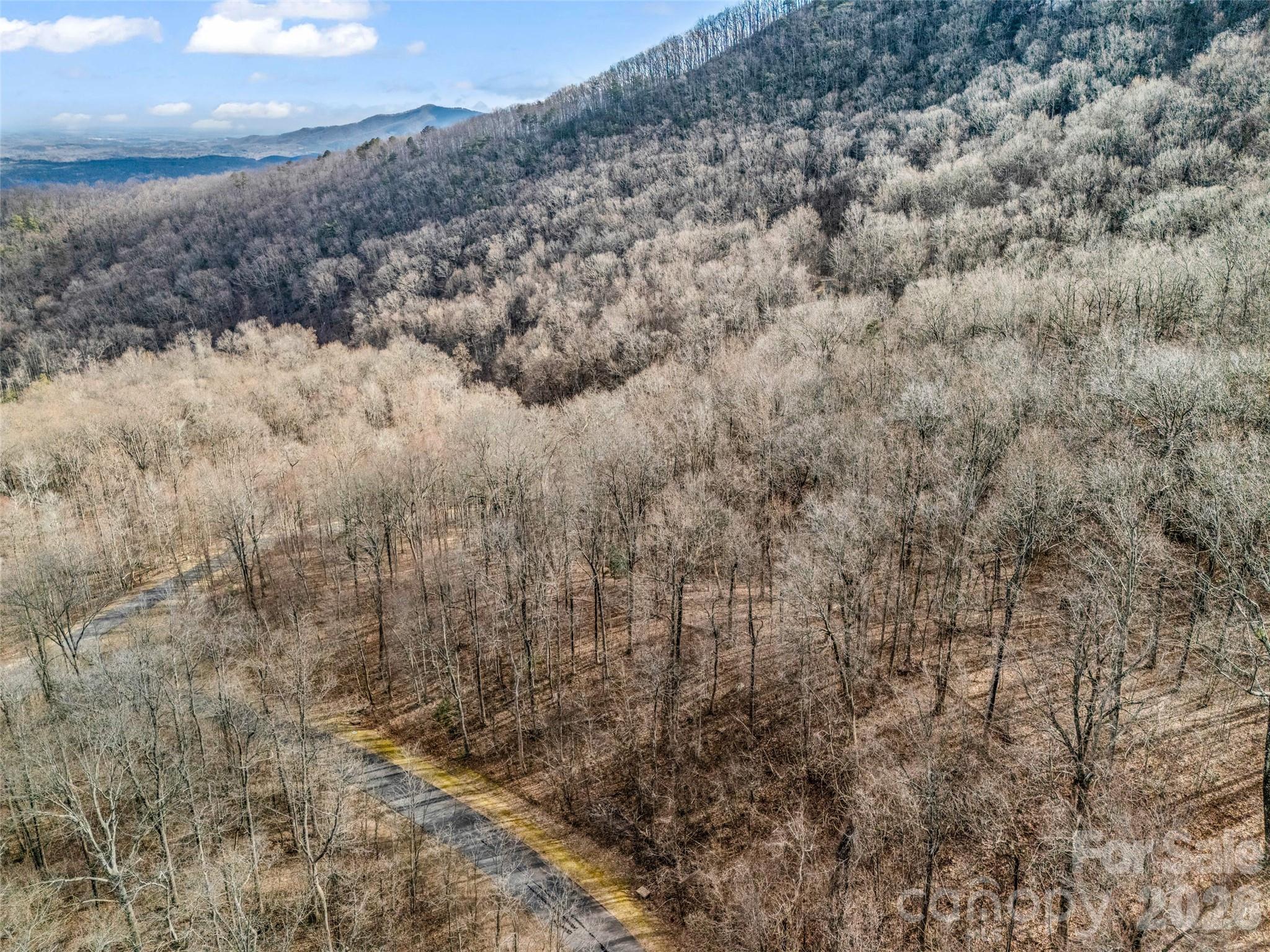 2128 Harm Creek Loop Mill Spring NC 28756