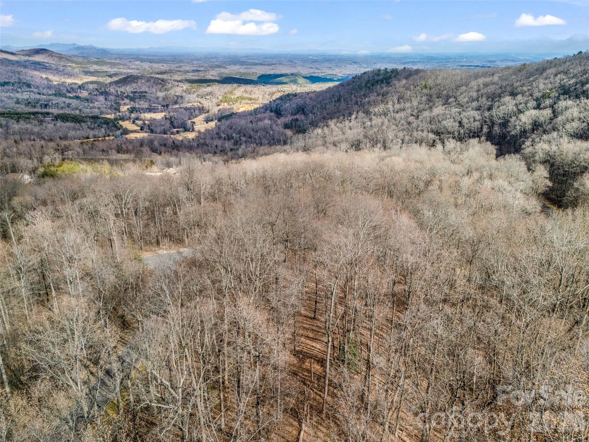 2128 Harm Creek Loop Mill Spring NC 28756