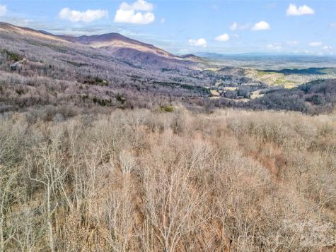2128 Harm Creek Loop Mill Spring NC 28756