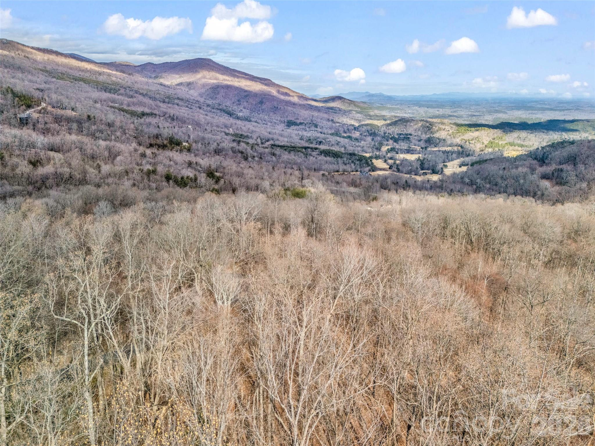 2128 Harm Creek Loop Mill Spring NC 28756