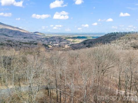 2128 Harm Creek Loop Mill Spring NC 28756
