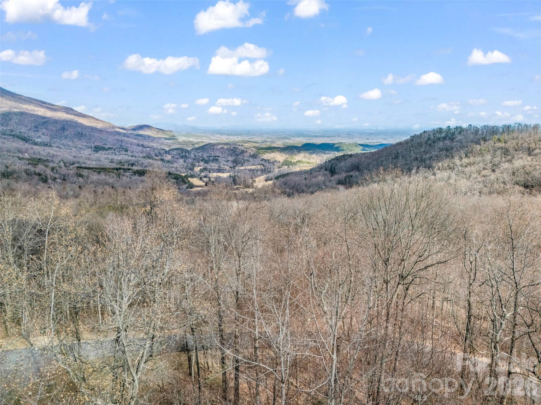 2128 Harm Creek Loop Mill Spring NC 28756