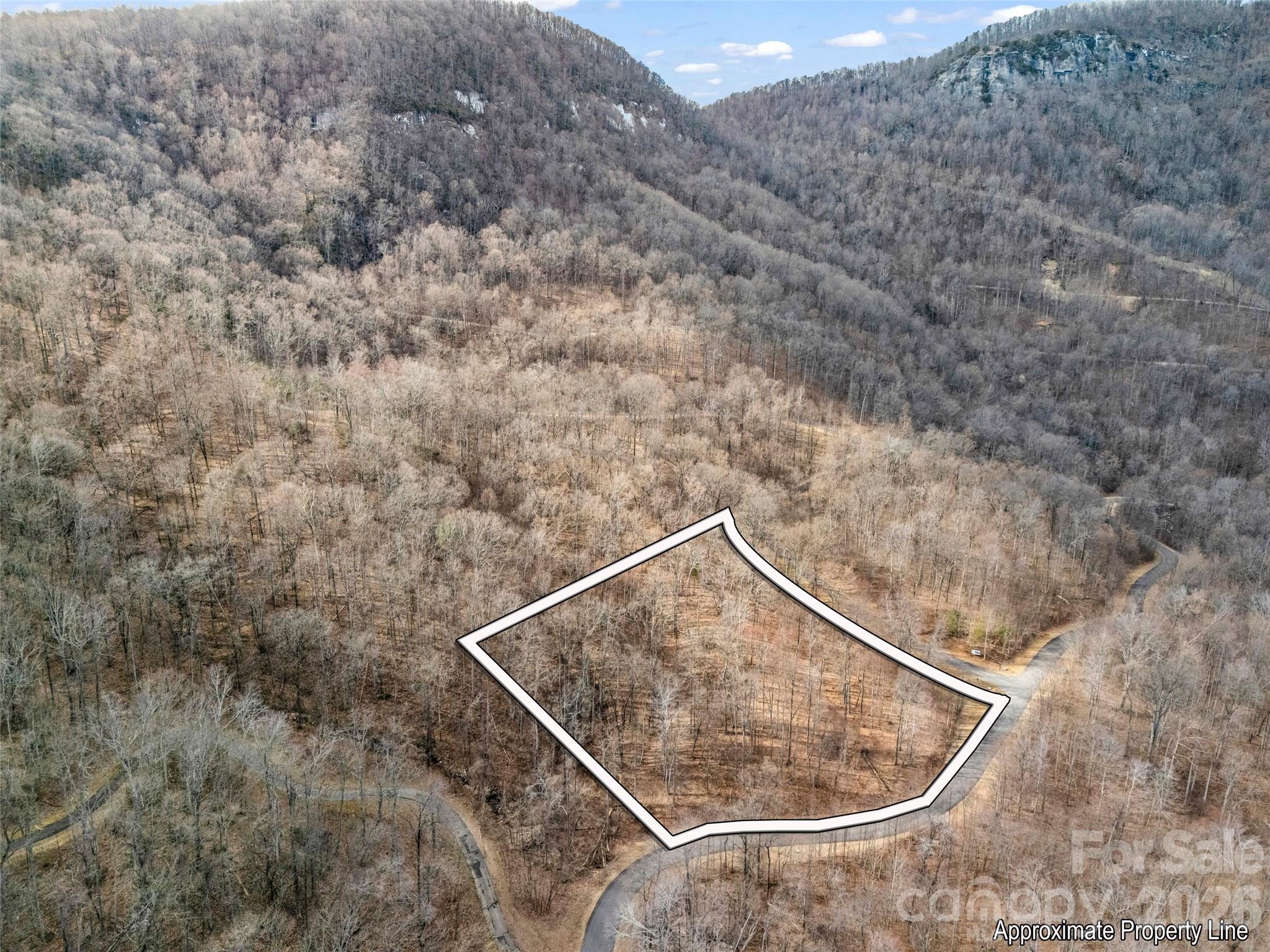 2128 Harm Creek Loop Mill Spring NC 28756