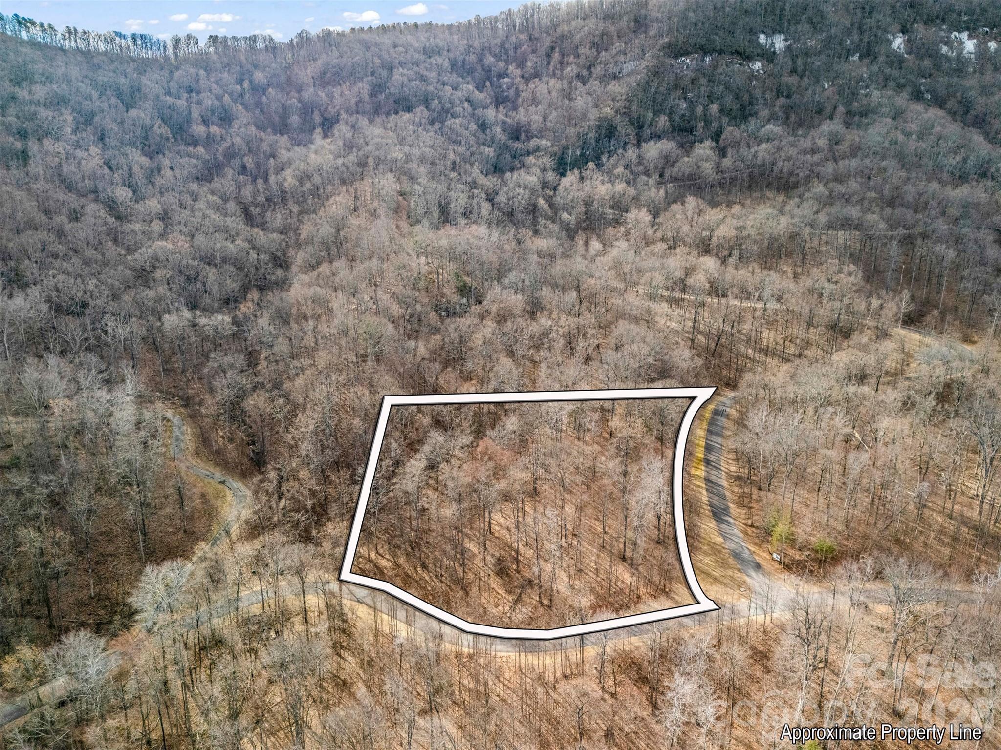 2128 Harm Creek Loop Mill Spring NC 28756
