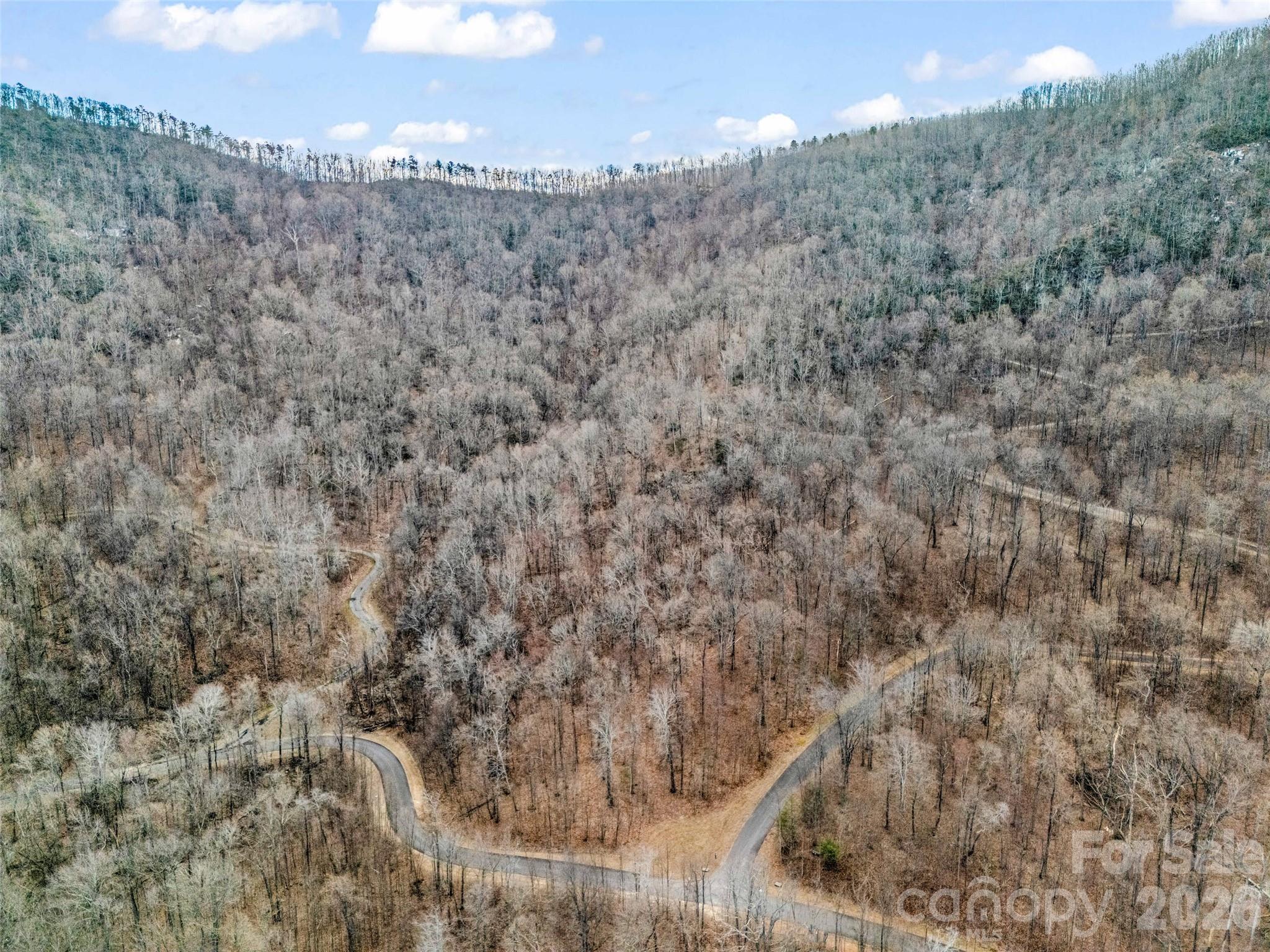 2128 Harm Creek Loop Mill Spring NC 28756