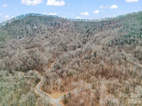 2128 Harm Creek Loop Mill Spring NC 28756