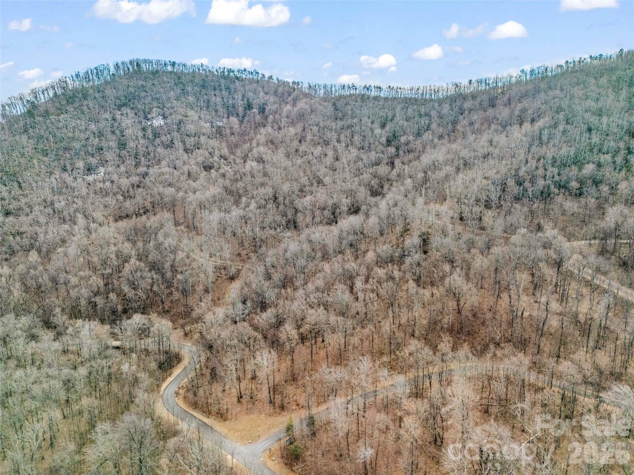 2128 Harm Creek Loop Mill Spring NC 28756