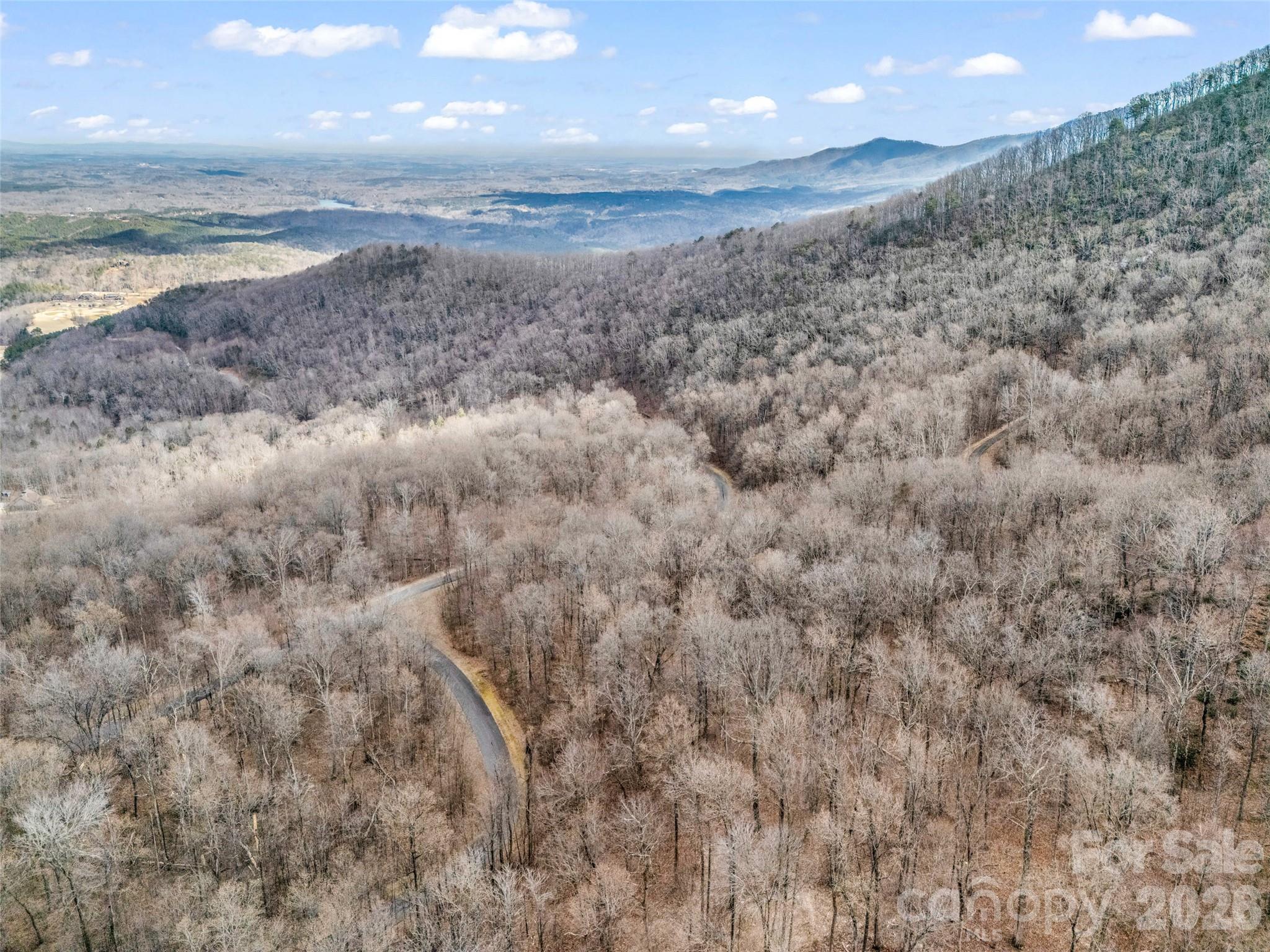 2128 Harm Creek Loop Mill Spring NC 28756
