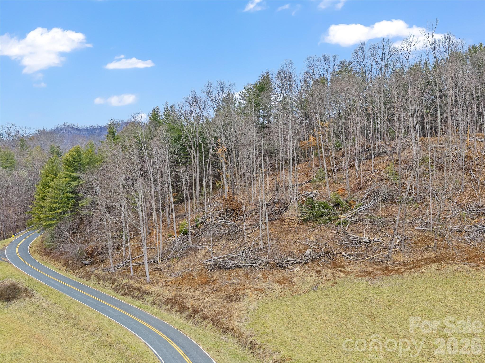 784 Green Young Cemetery Road Bakersville NC 28705
