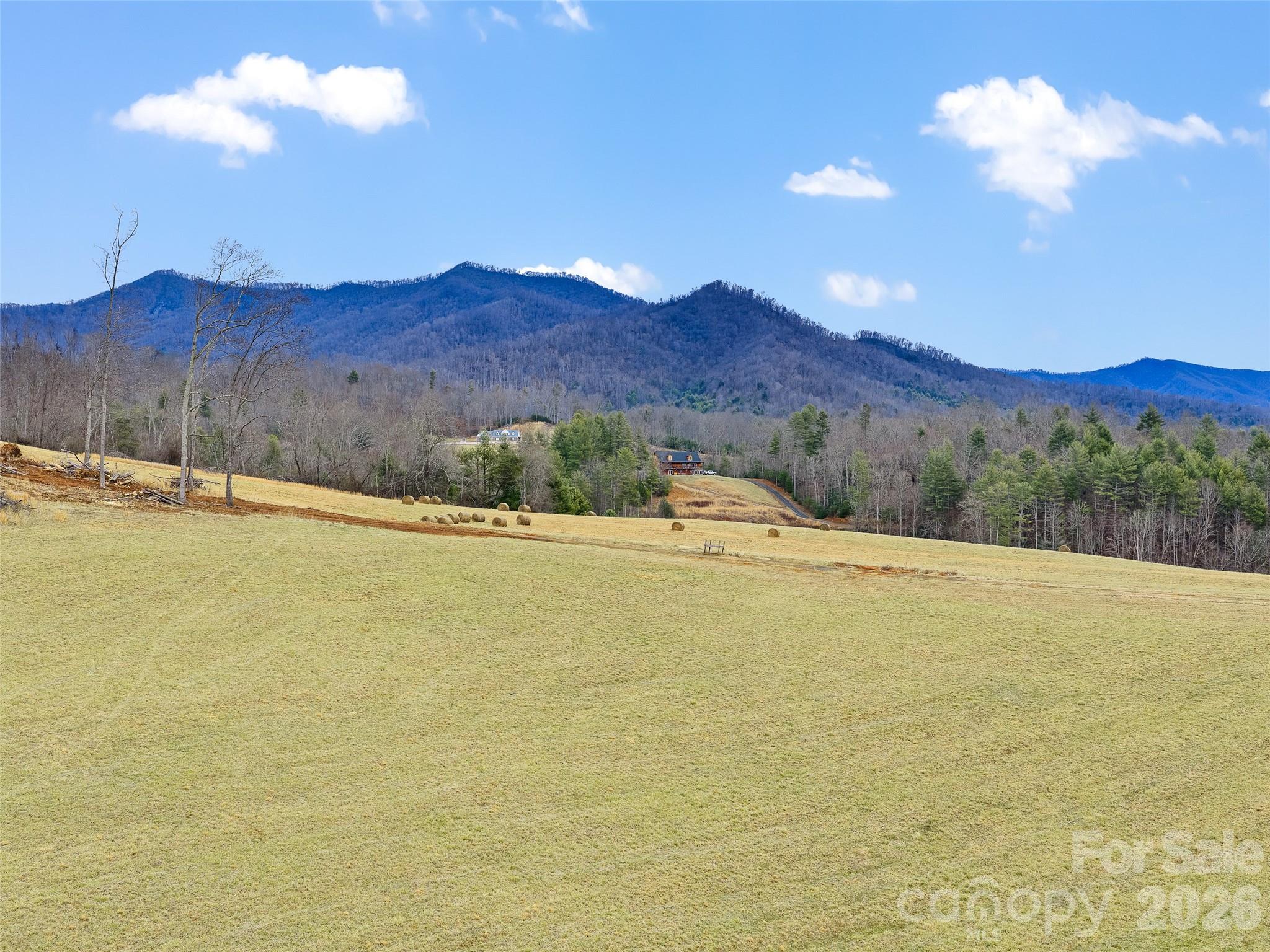 784 Green Young Cemetery Road Bakersville NC 28705
