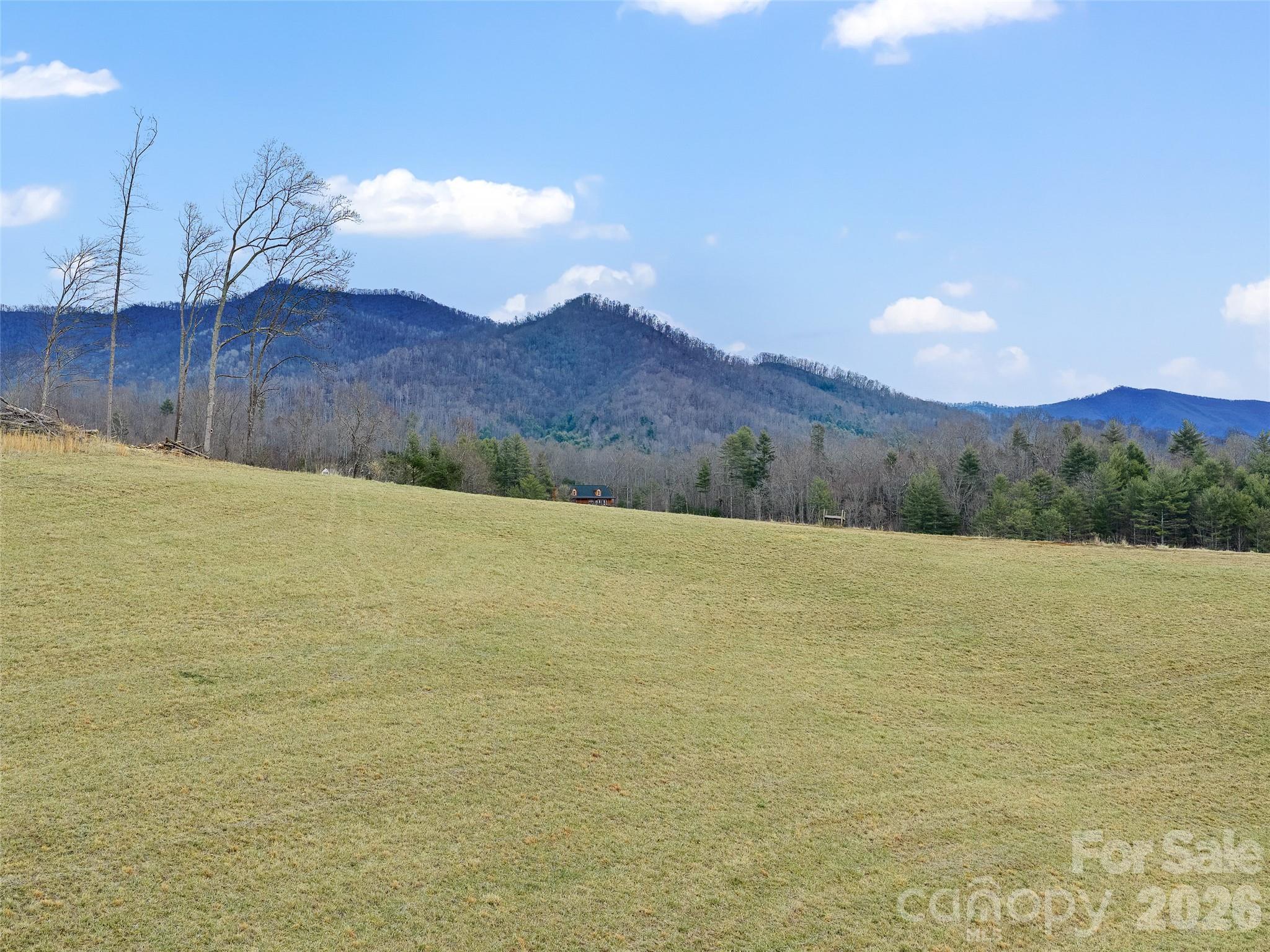 784 Green Young Cemetery Road Bakersville NC 28705