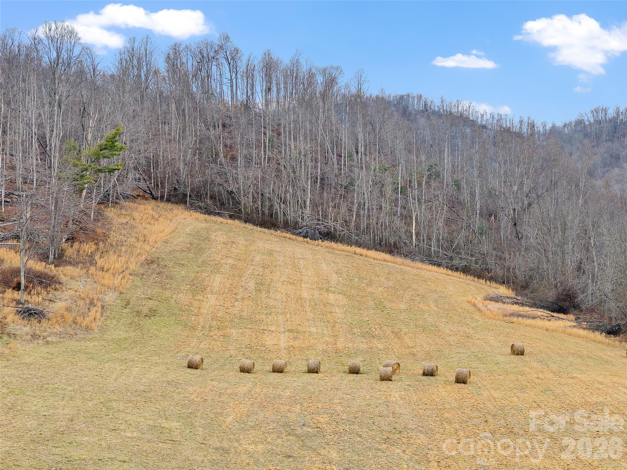 784 Green Young Cemetery Road Bakersville NC 28705