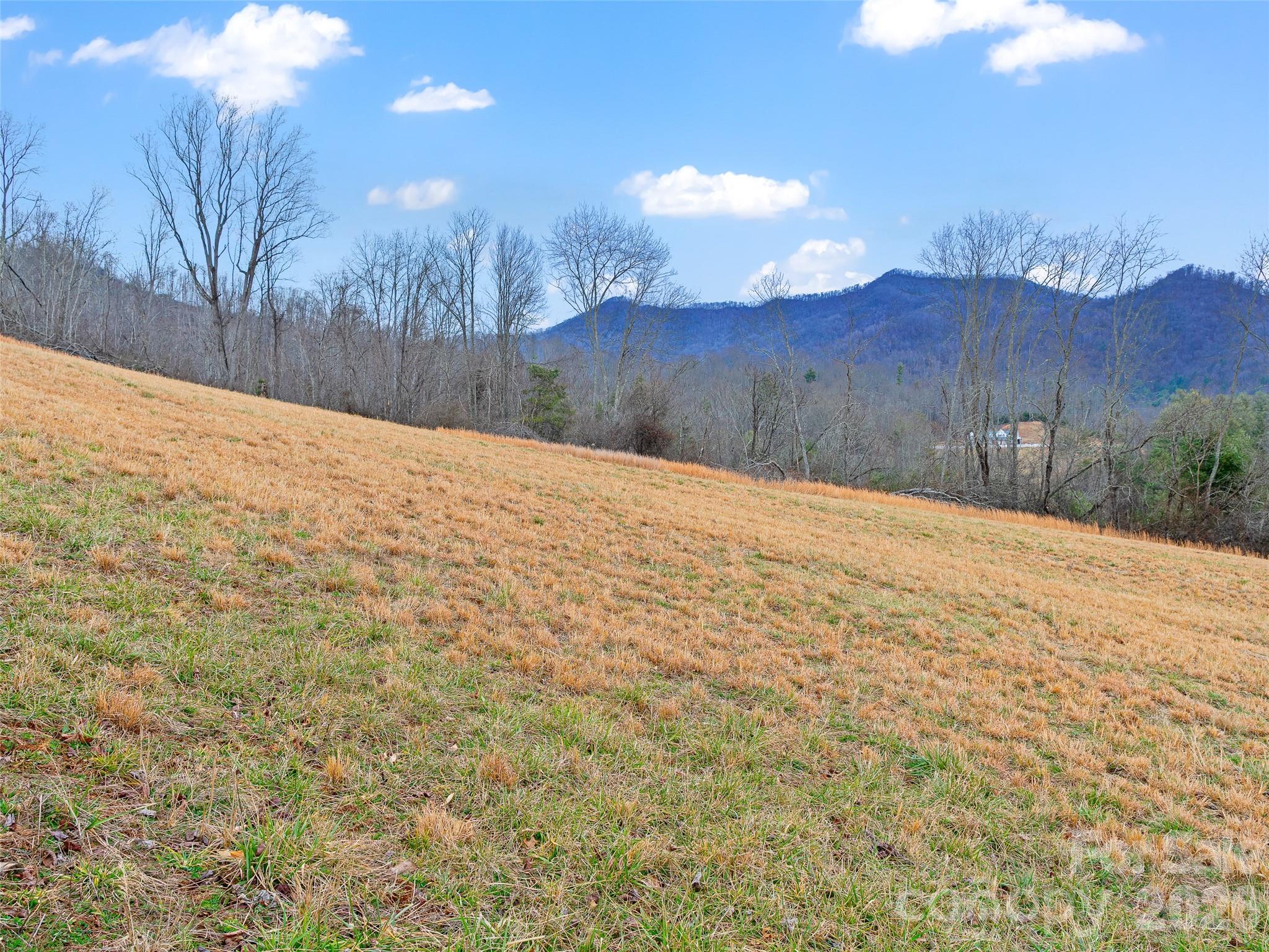 784 Green Young Cemetery Road Bakersville NC 28705