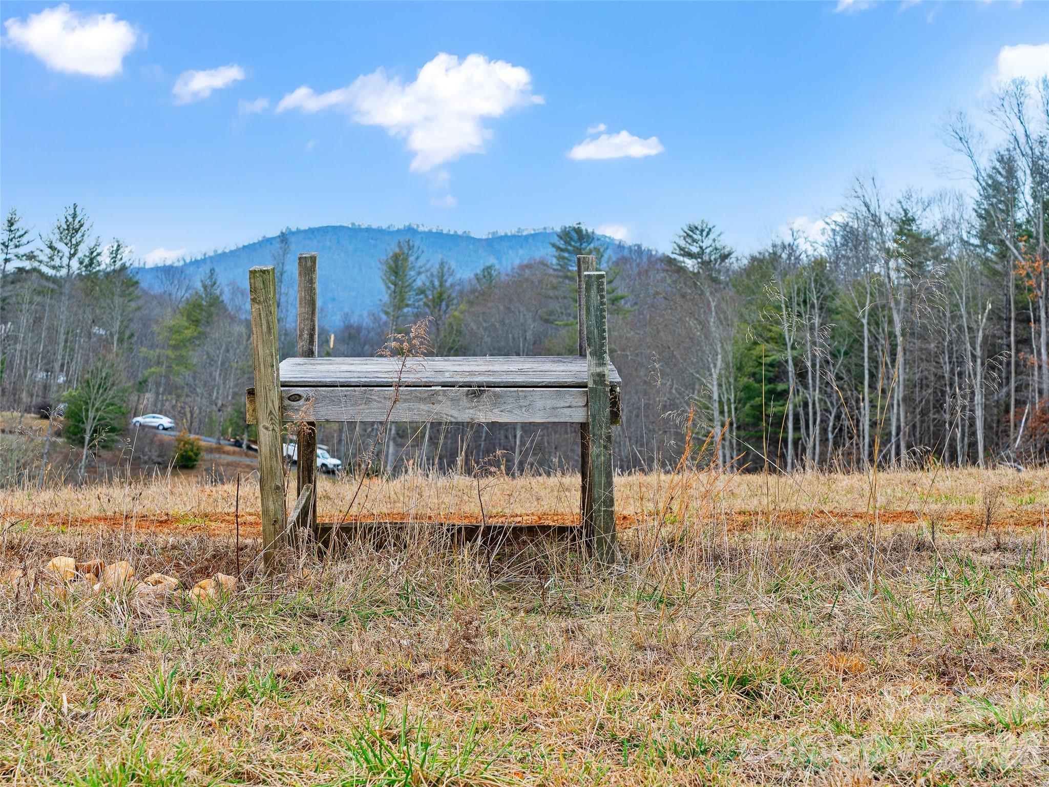 784 Green Young Cemetery Road Bakersville NC 28705