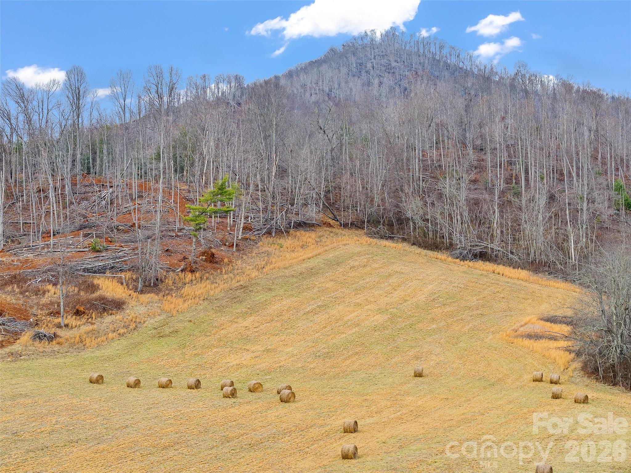 784 Green Young Cemetery Road Bakersville NC 28705