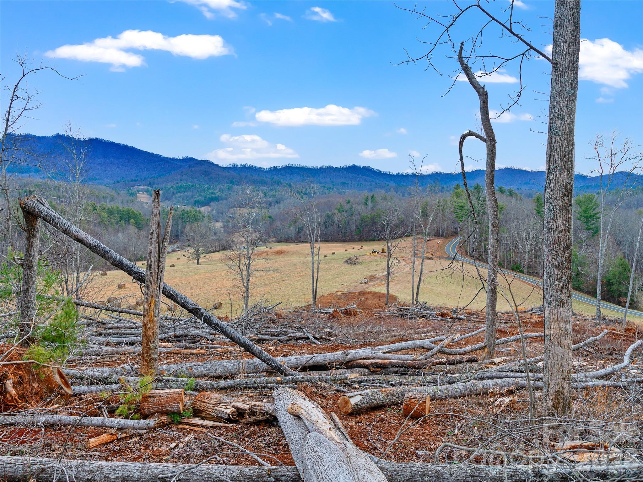 784 Green Young Cemetery Road Bakersville NC 28705