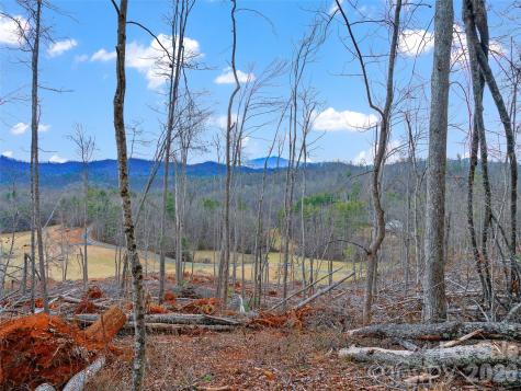 784 Green Young Cemetery Road Bakersville NC 28705