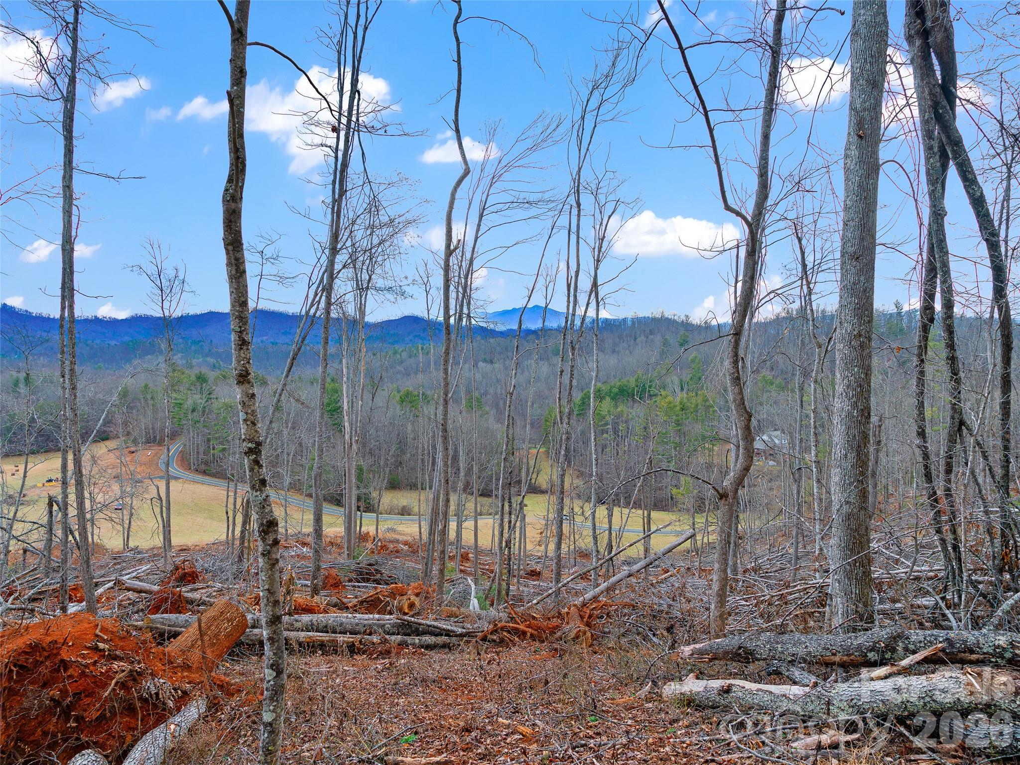 784 Green Young Cemetery Road Bakersville NC 28705