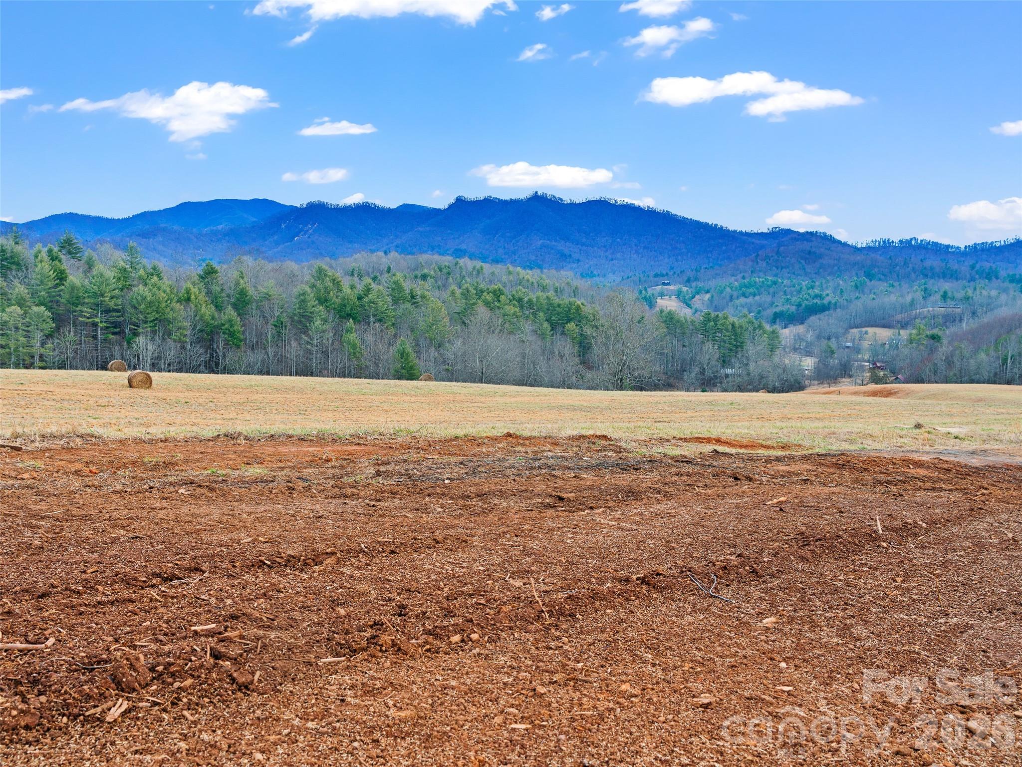 784 Green Young Cemetery Road Bakersville NC 28705
