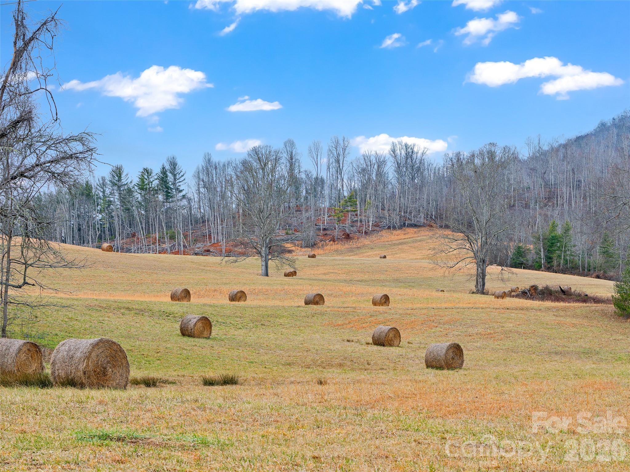 784 Green Young Cemetery Road Bakersville NC 28705