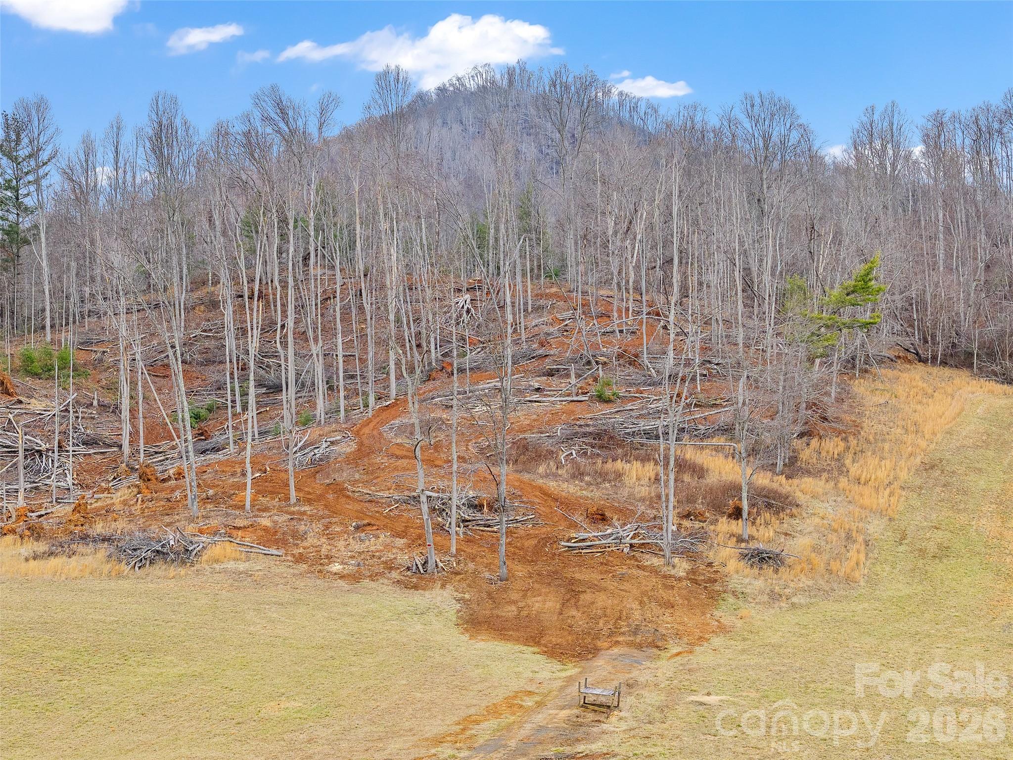 784 Green Young Cemetery Road Bakersville NC 28705