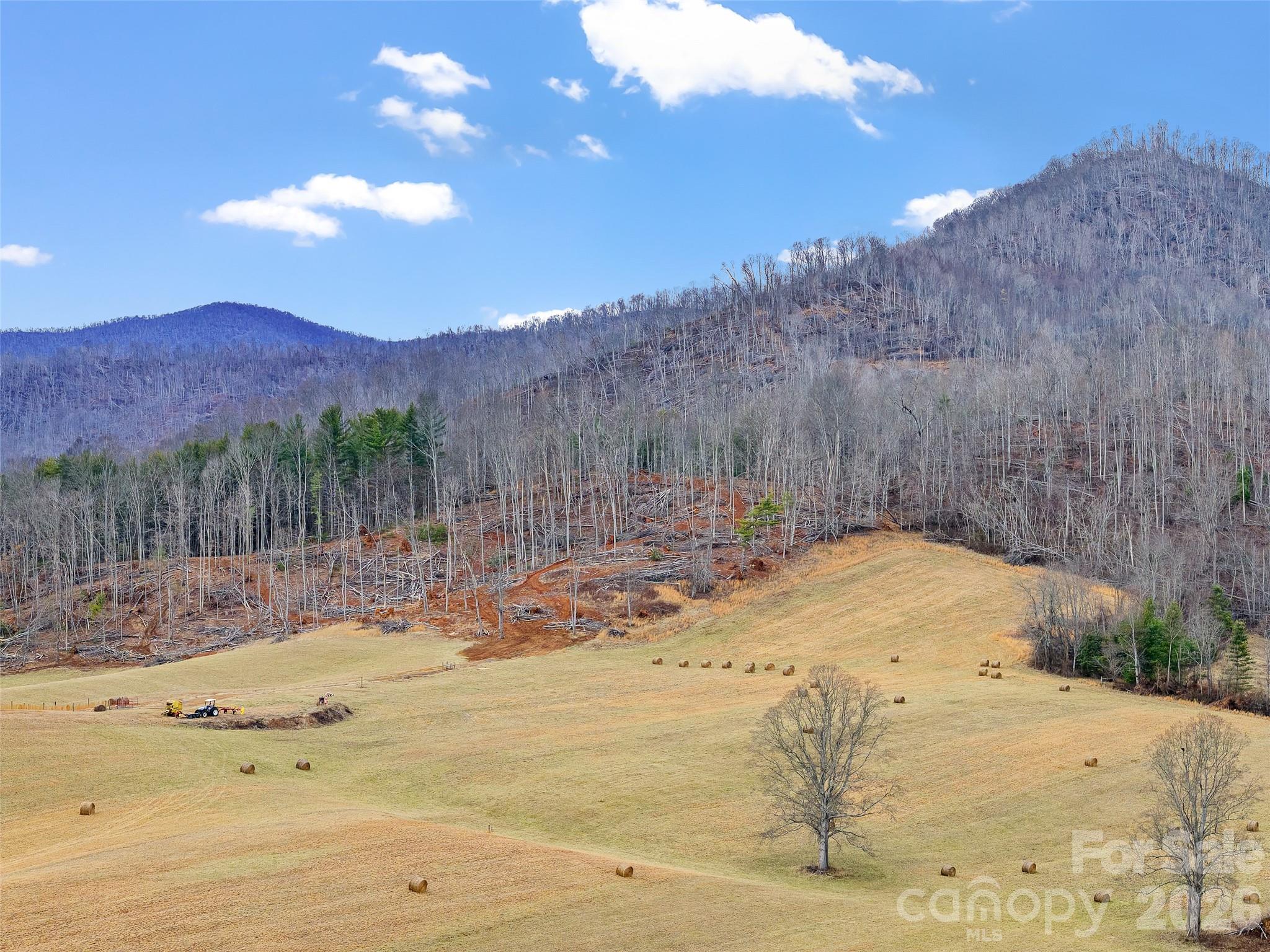 784 Green Young Cemetery Road Bakersville NC 28705