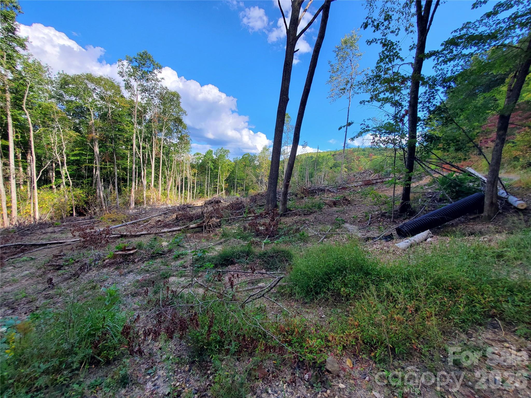 00 Parkwood Hill Road Spruce Pine NC 28777