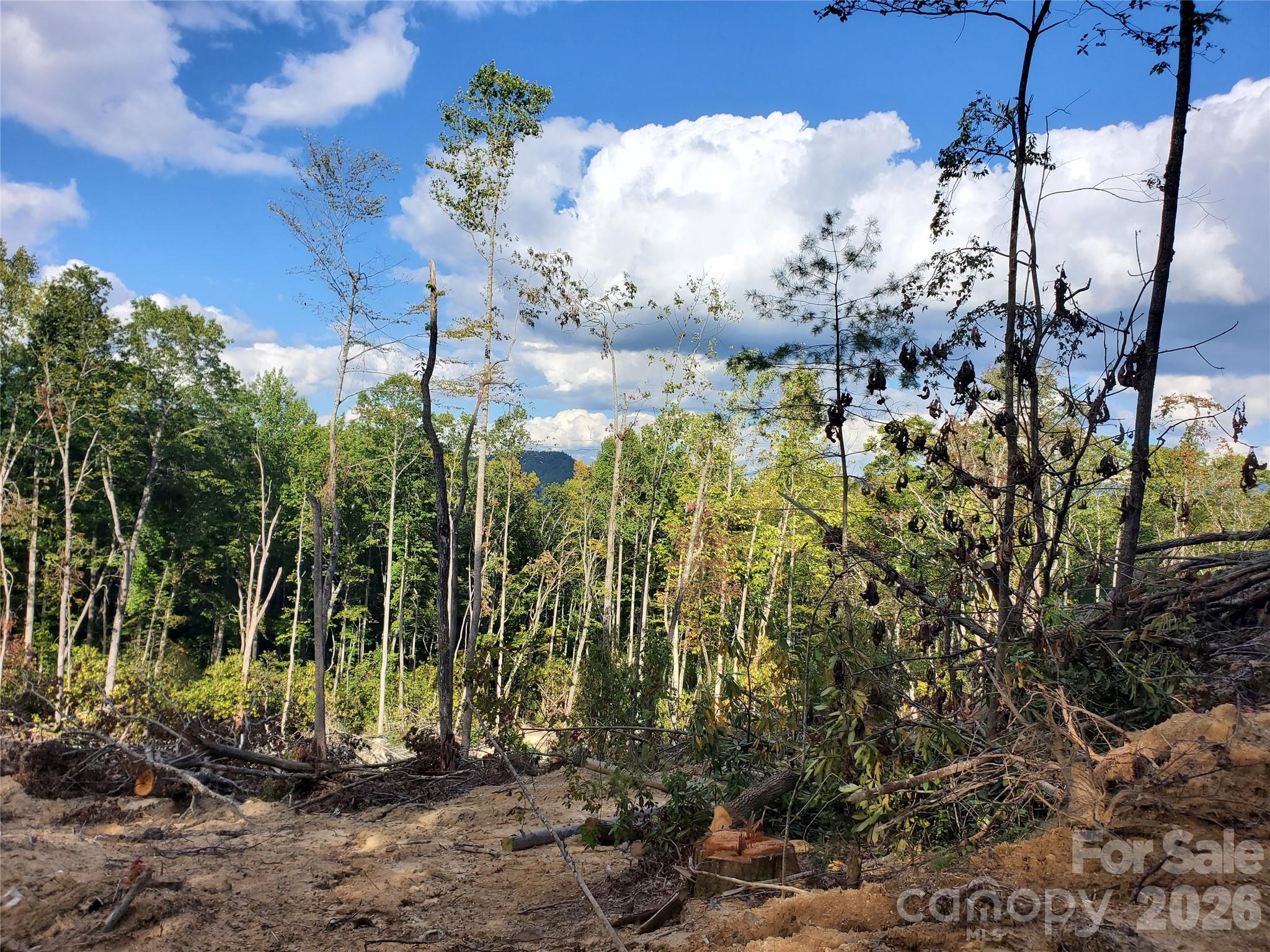 00 Parkwood Hill Road Spruce Pine NC 28777