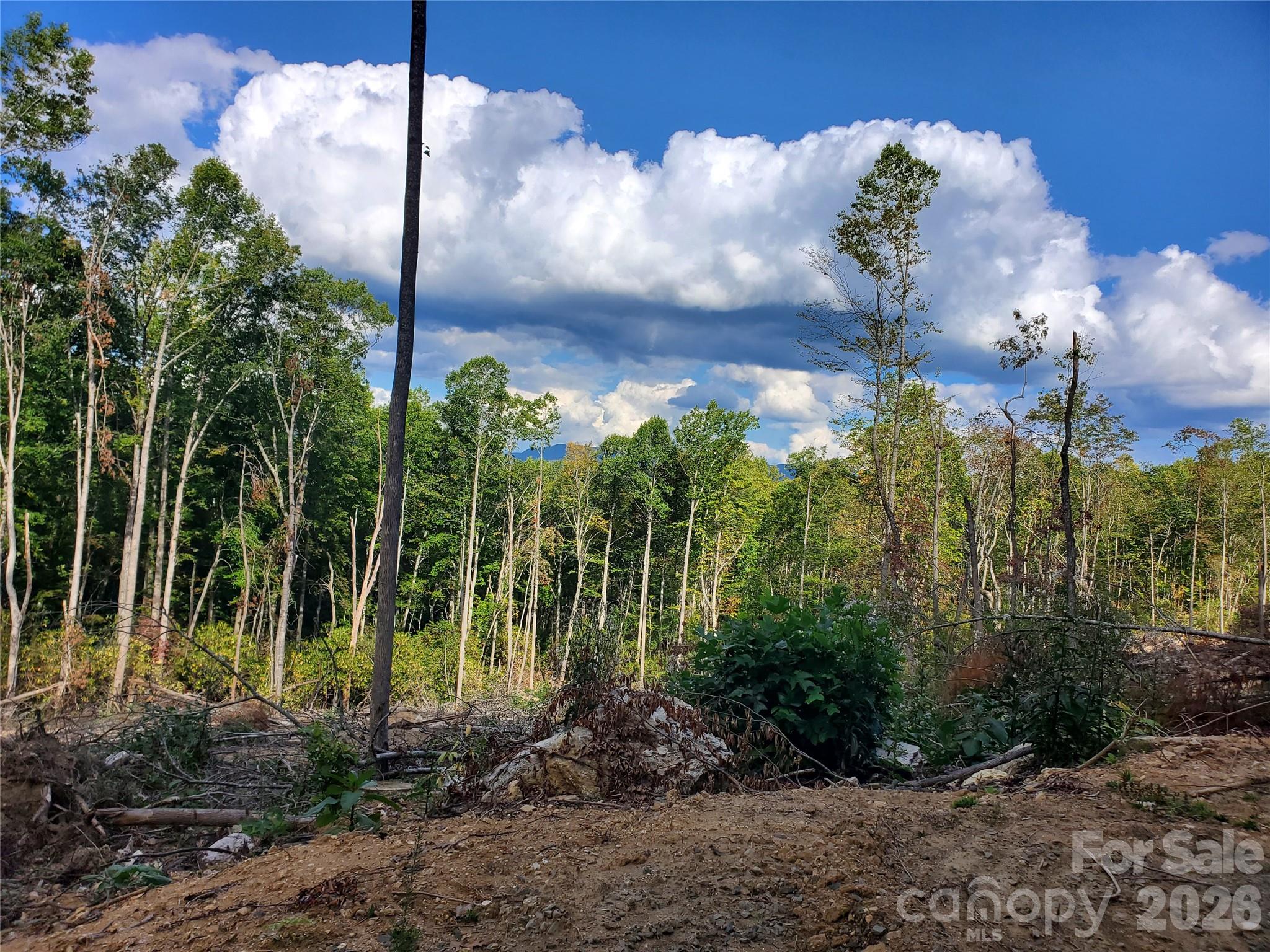 00 Parkwood Hill Road Spruce Pine NC 28777